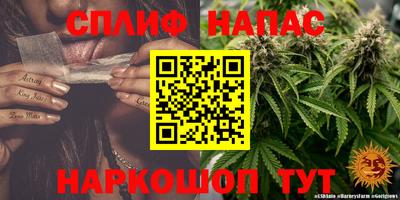 mix Новозыбков
