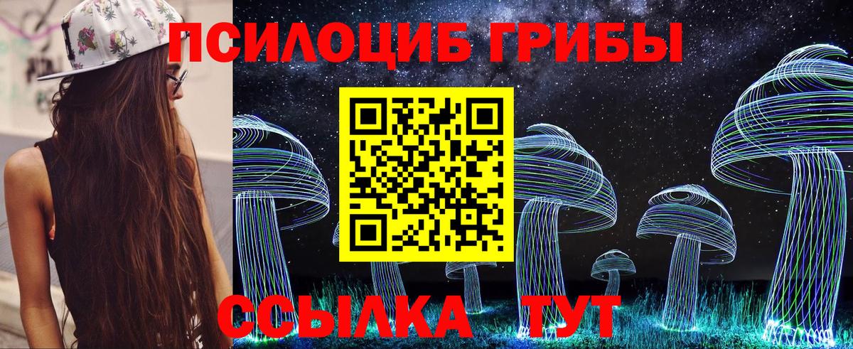 Саранск  Псилоцибиновые грибы мицелий  Вход с VPN 